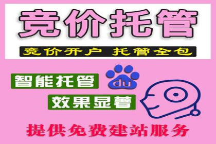 SEM代运营服务公司成功案例解析
